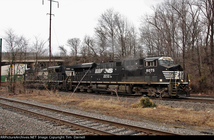 NS 8075 leads 20Q